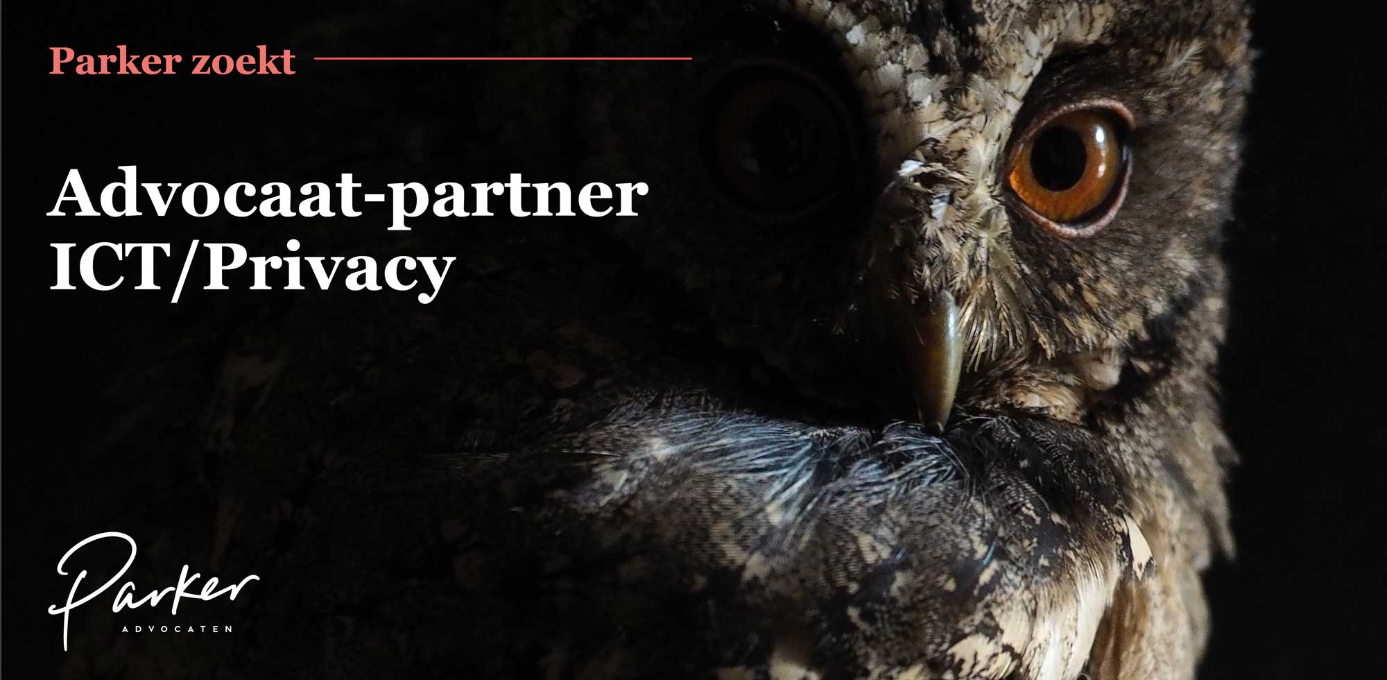 advertentie-IT-en-Privacy-met-rechte-uil