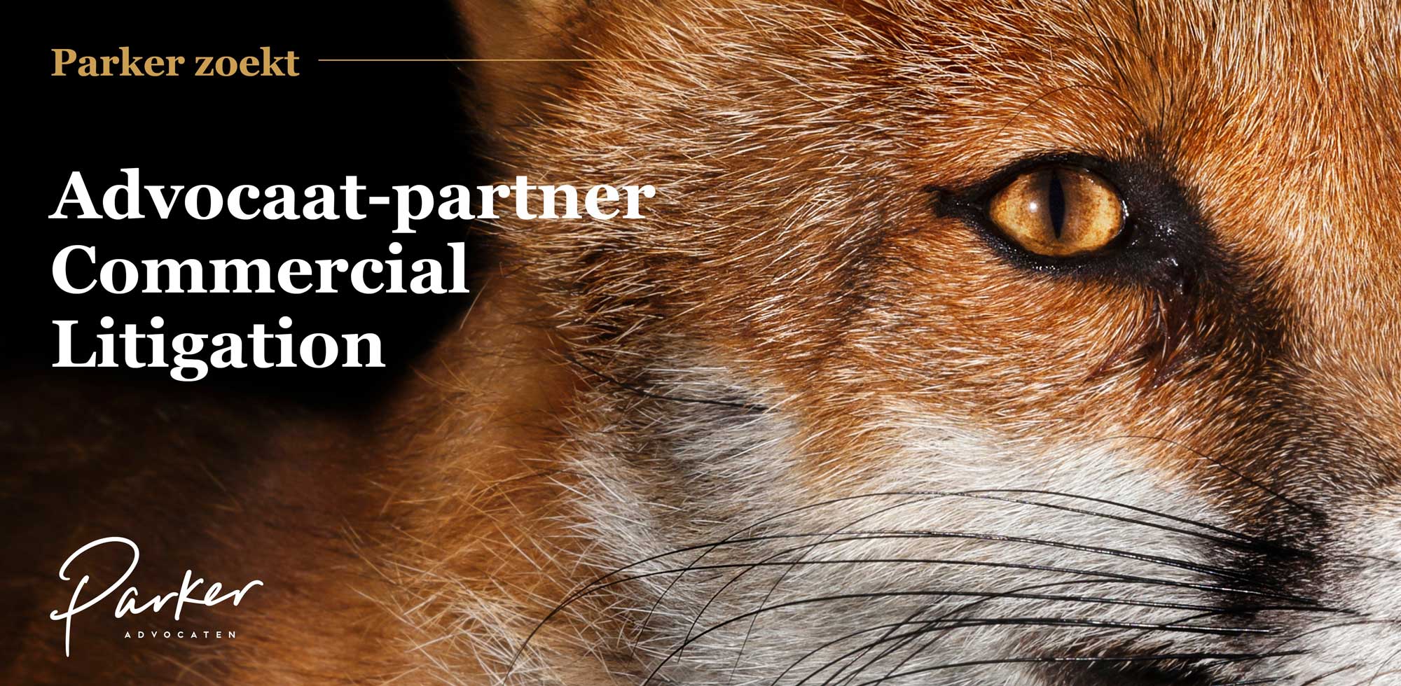 advertentie-commercial-litigation